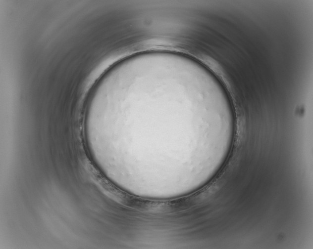 X0000114031435200910231849