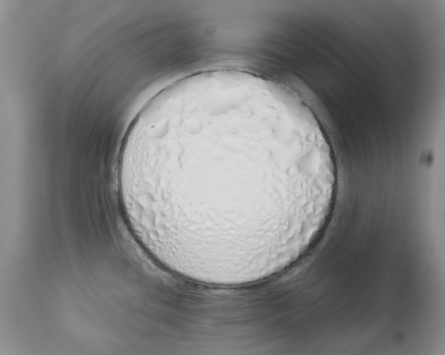 X0000114031436200910231849