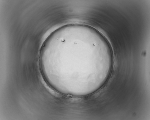 X0000114031437200910231849