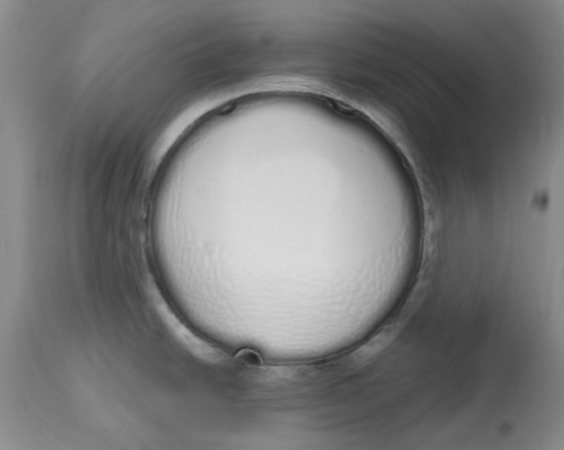 X0000114031438200910231849