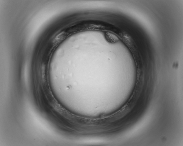 X0000114031439200910231849