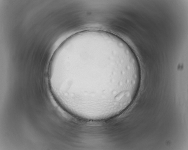 X0000114031440200910231849