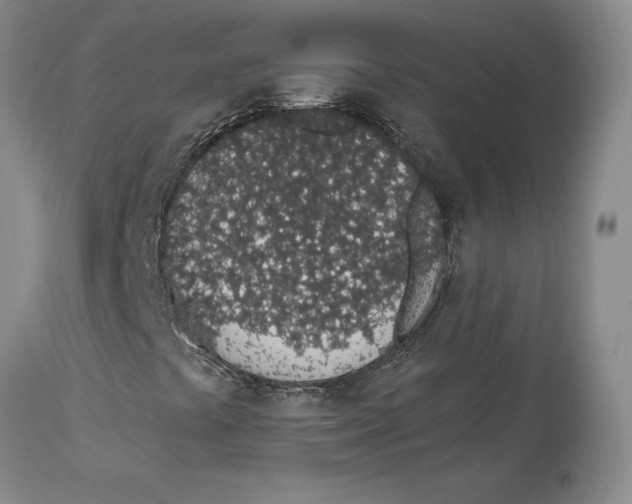 X0000114031441200910231849