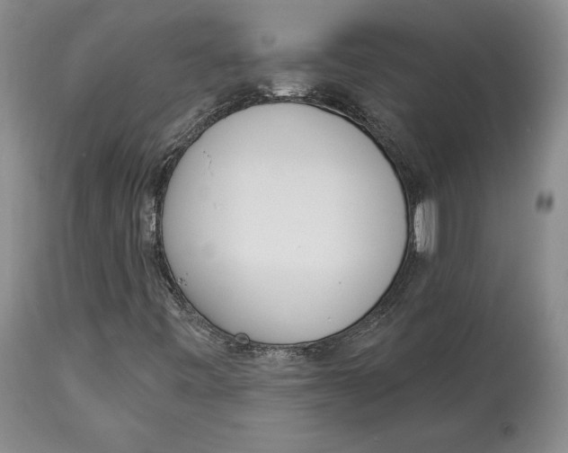 X0000114031443200910231849