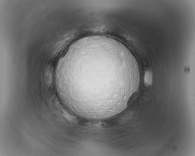 X0000114031444200910231849