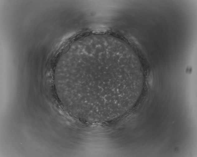 X0000114031445200910231849