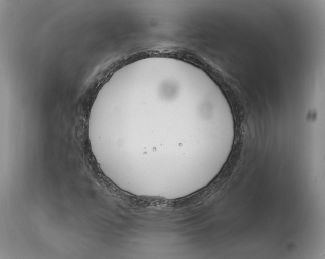 X0000114031447200910231849