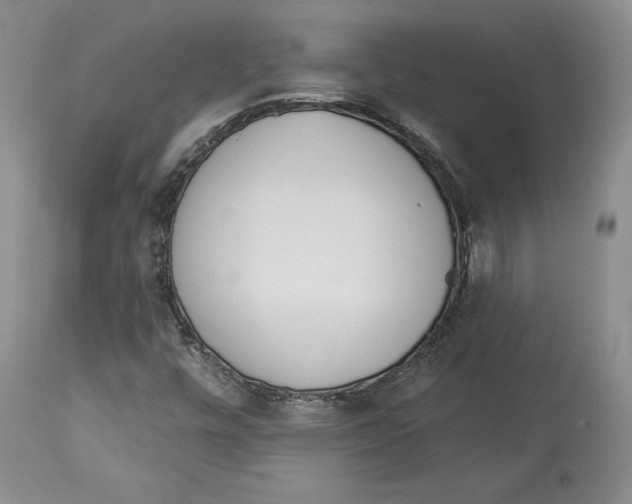 X0000114031448200910231849