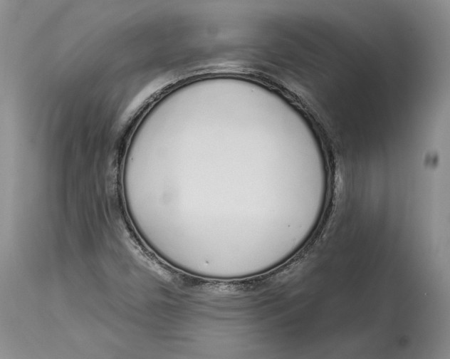 X0000114031450200910231849