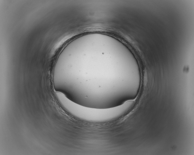 X0000114031453200910231848