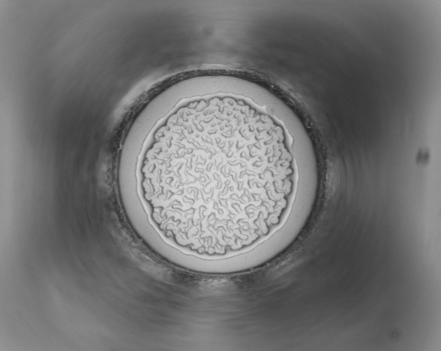 X0000114031454200910231848