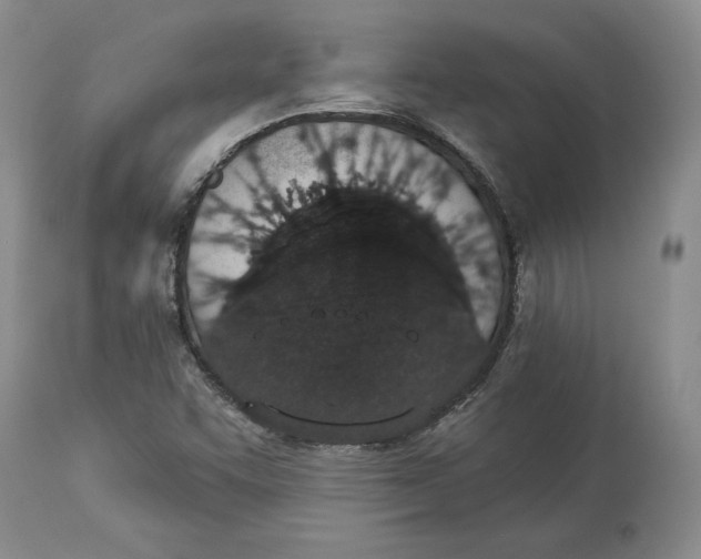 X0000114031455200910231848