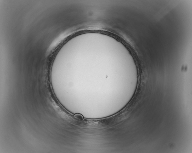 X0000114031456200910231848