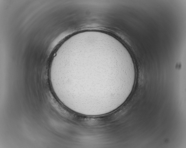 X0000114031458200910231848