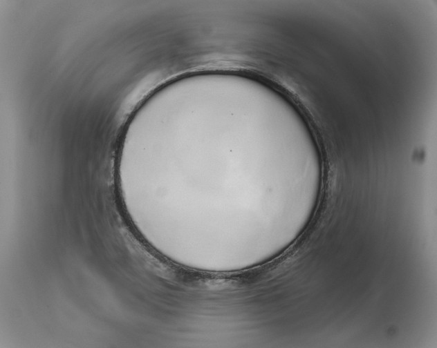 X0000114031459200910231848