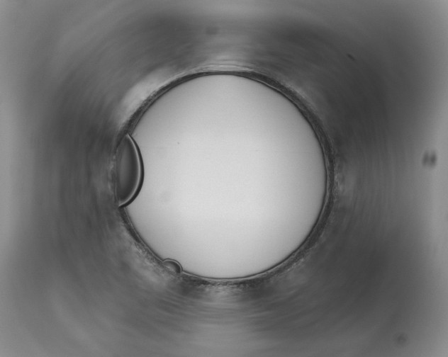 X0000114031461200910231848