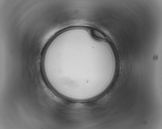 X0000114031463200910231848