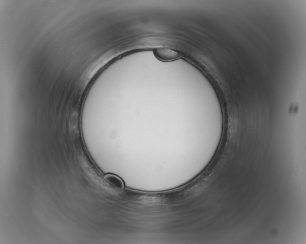 X0000114031465200910231848