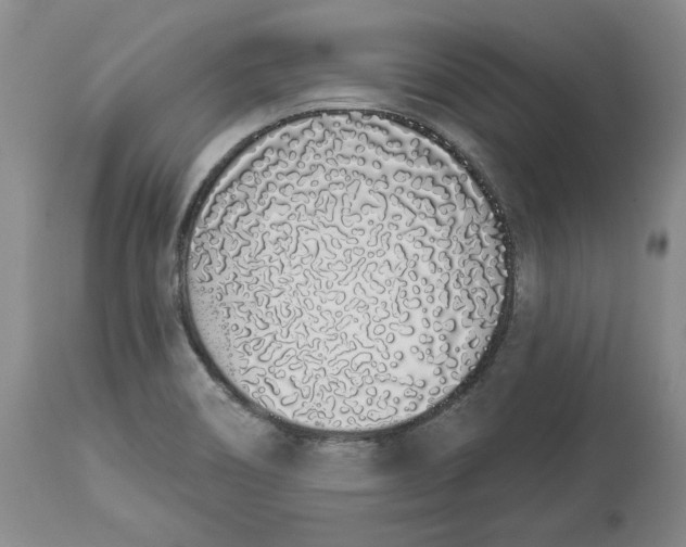 X0000114031466200910231848