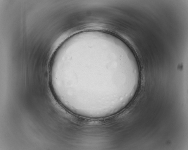 X0000114031467200910231848