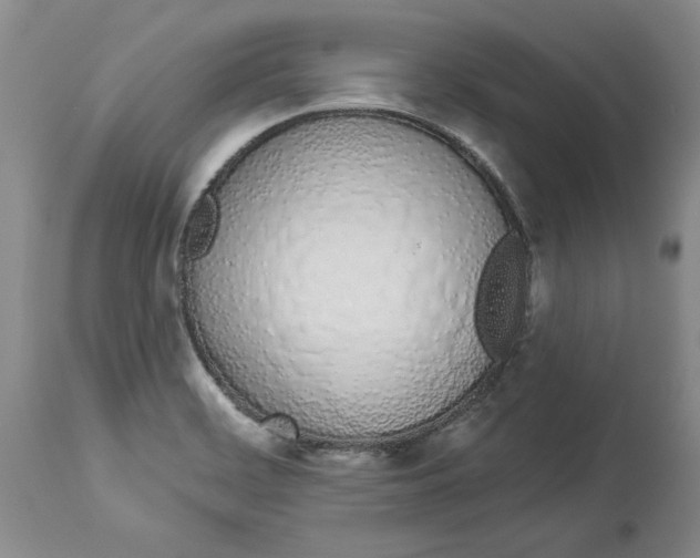 X0000114031468200910231848