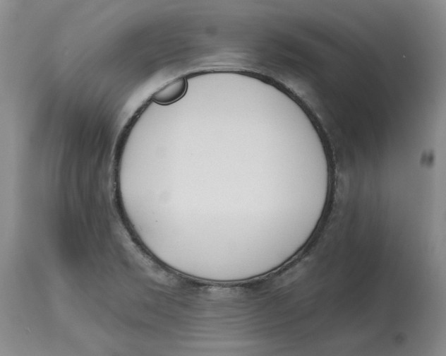 X0000114031469200910231848