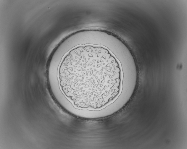 X0000114031470200910231848