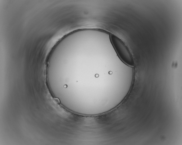 X0000114031472200910231848