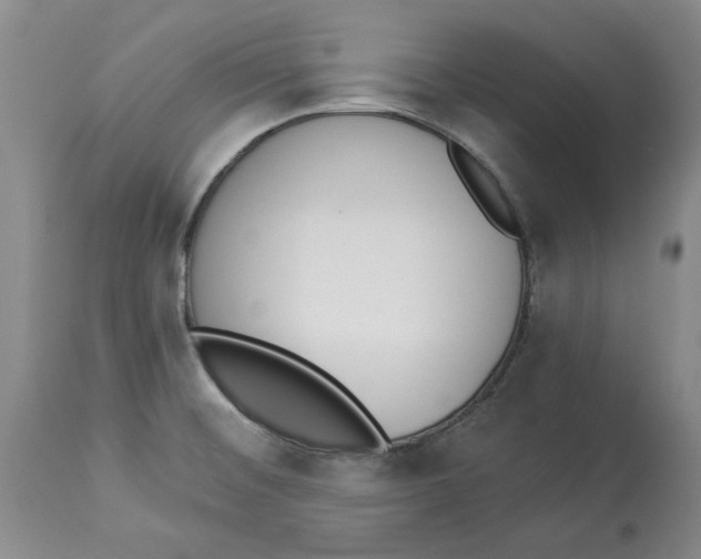 X0000114031476200910231848