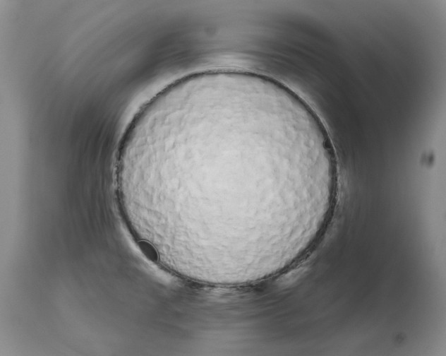 X0000114031477200910231848