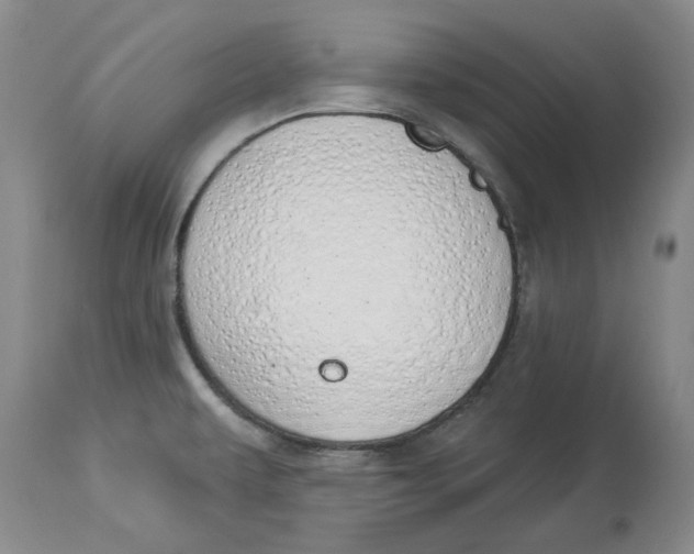 X0000114031479200910231848