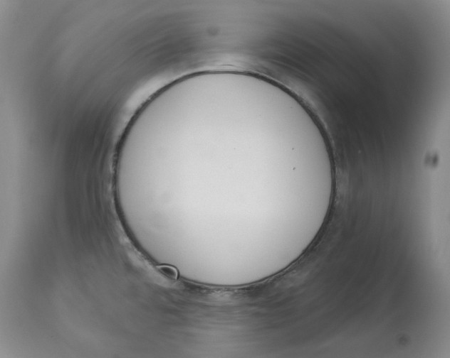 X0000114031480200910231848