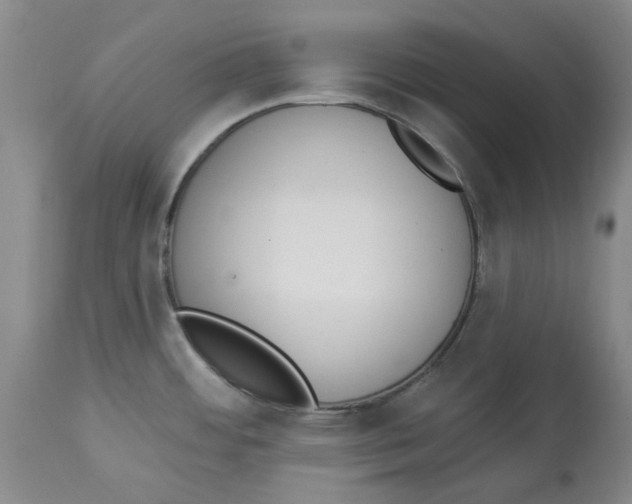 X0000114031484200910231848