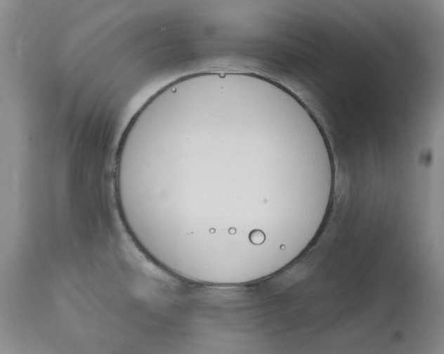 X0000114031486200910231848