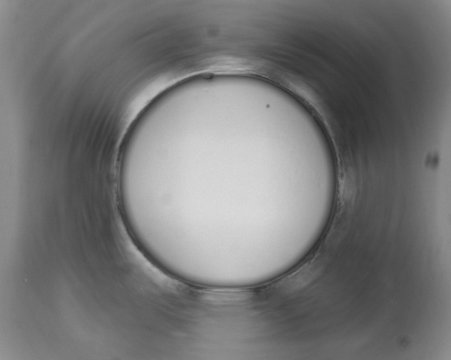 X0000114031487200910231848