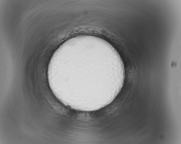 X0000114031489200910231847