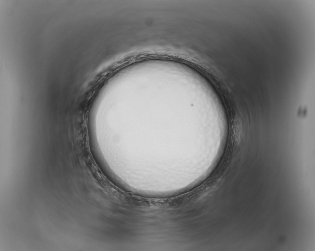 X0000114031494200910231847