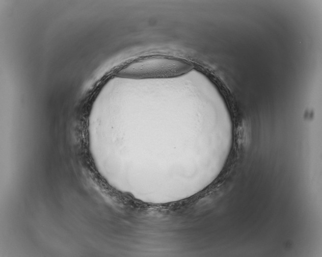 X0000114031496200910231847