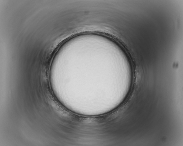 X0000114031497200910231847