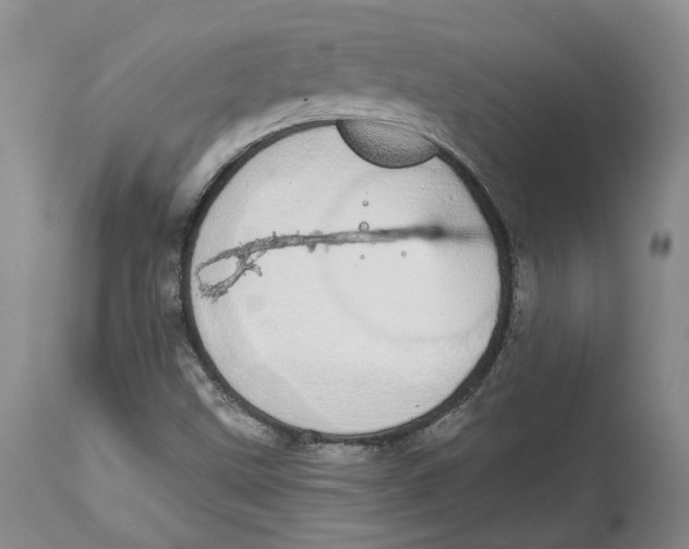 X0000114031499200910231847