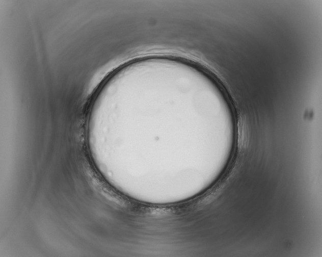 X0000114031501200910231848