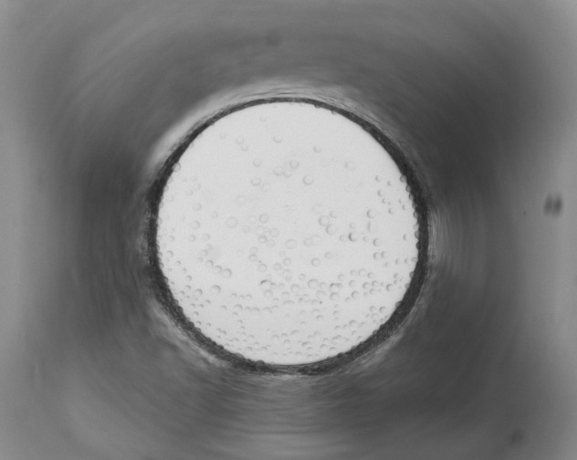 X0000114031502200910231848