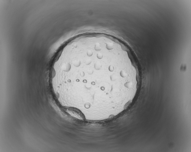 X0000114031503200910231848