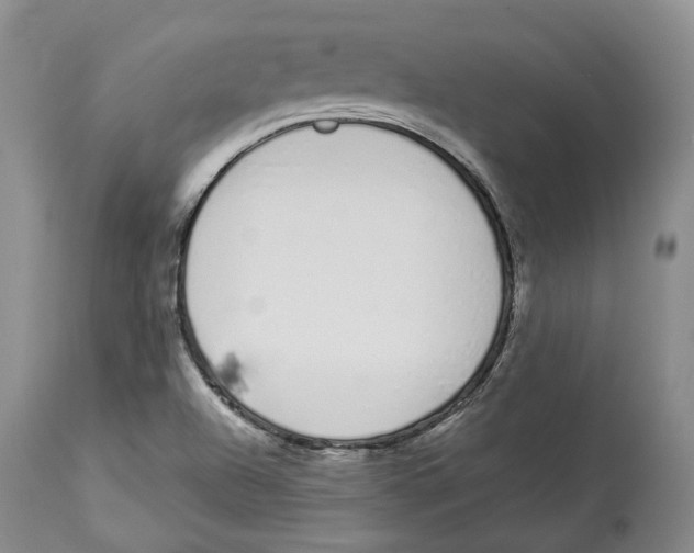 X0000114031504200910231848