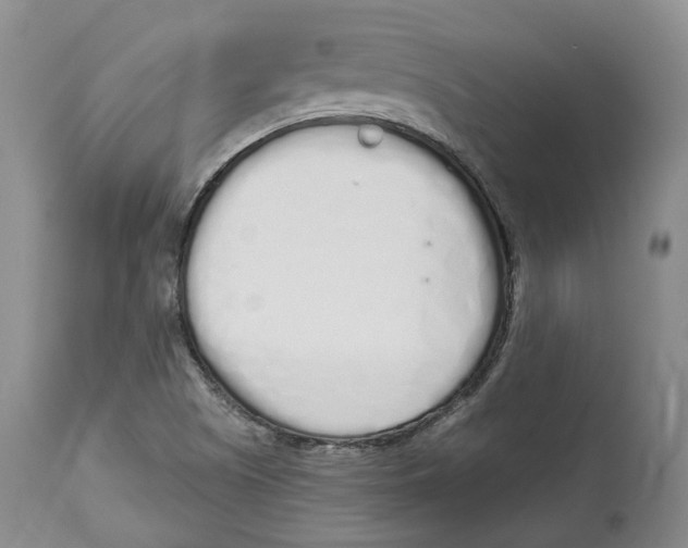 X0000114031505200910231848