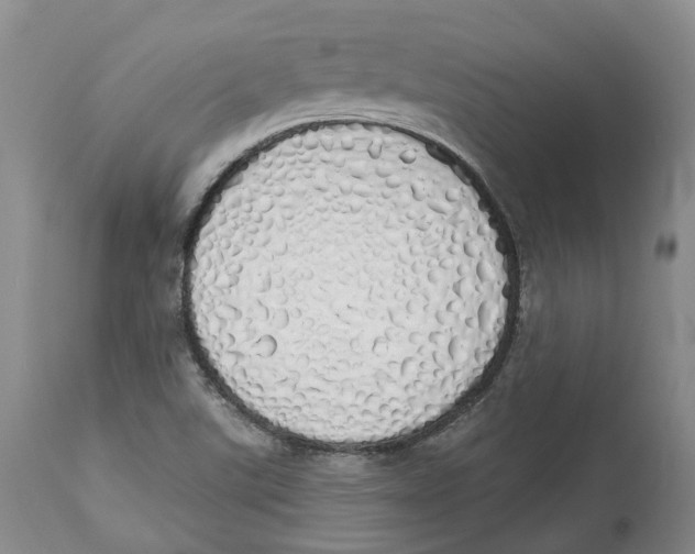 X0000114031507200910231848