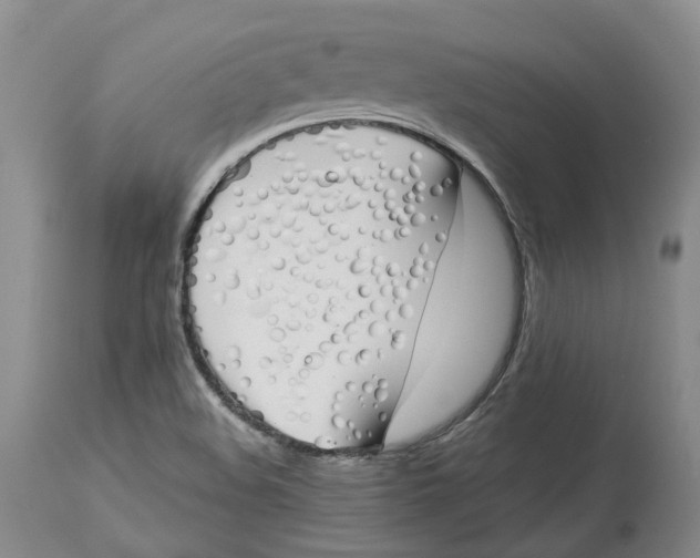 X0000114031508200910231848