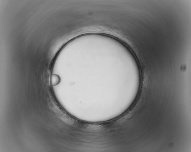 X0000114031509200910231848