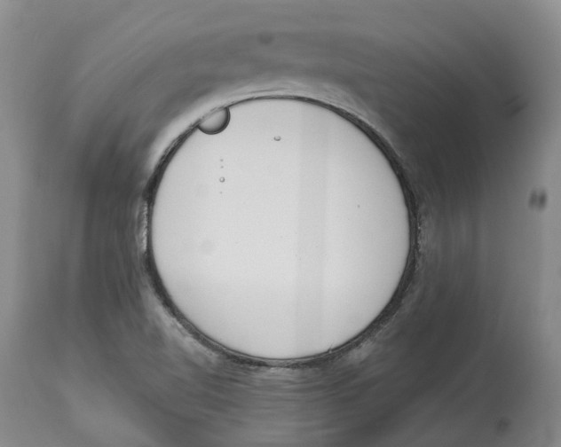 X0000114031510200910231848