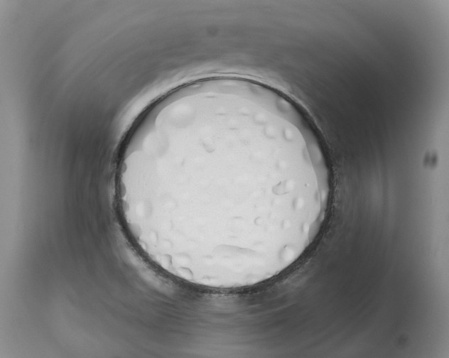 X0000114031511200910231848